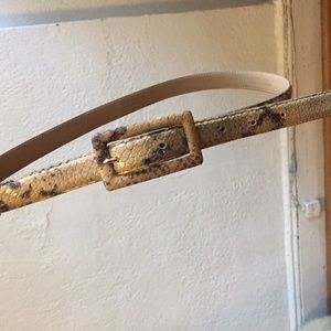 Slim Python Belt